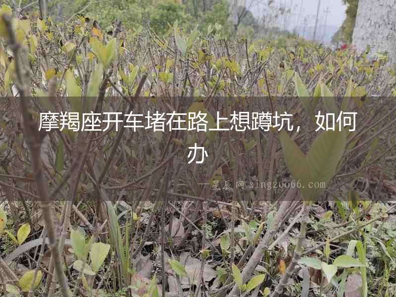 摩羯座開車堵在路上想蹲坑，如何辦