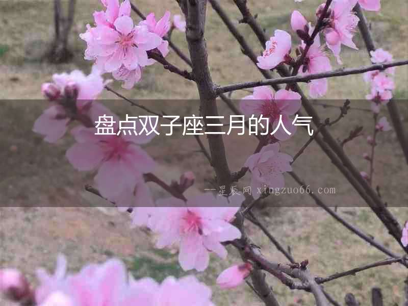 盤點雙子座三月的人氣