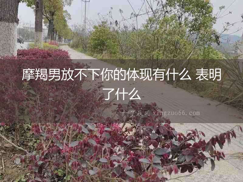 摩羯男放不下你的體現有什么 表明了什么