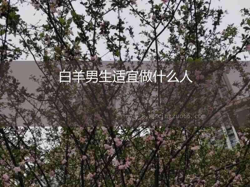 白羊男生適宜做什么人