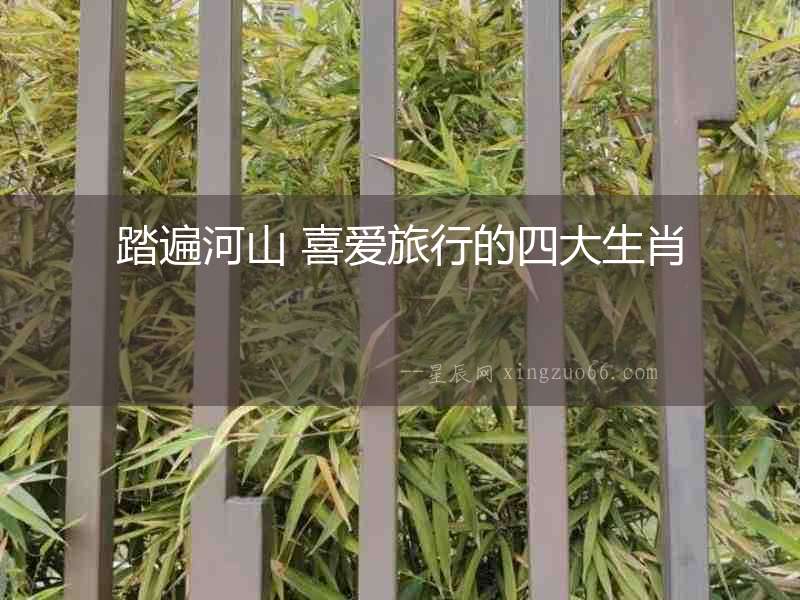 踏遍河山 喜愛旅行的四大生肖
