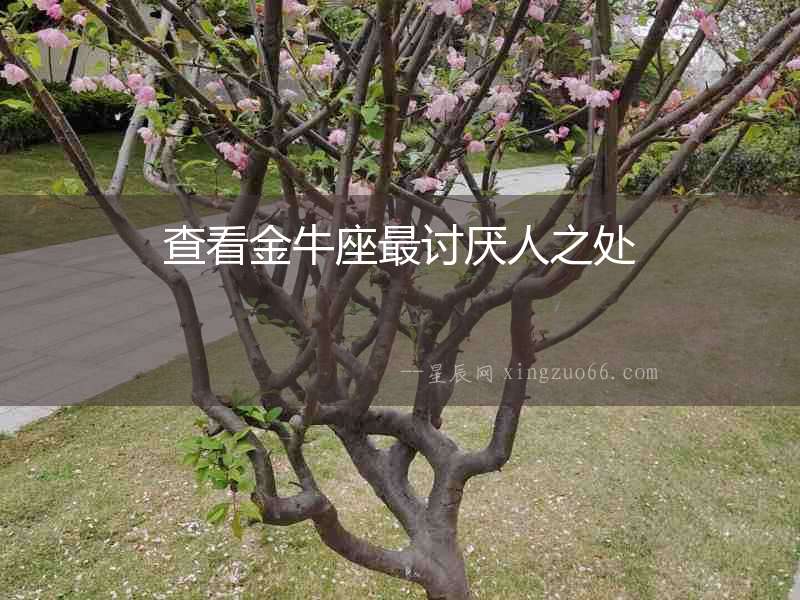 查看金牛座最討厭人之處