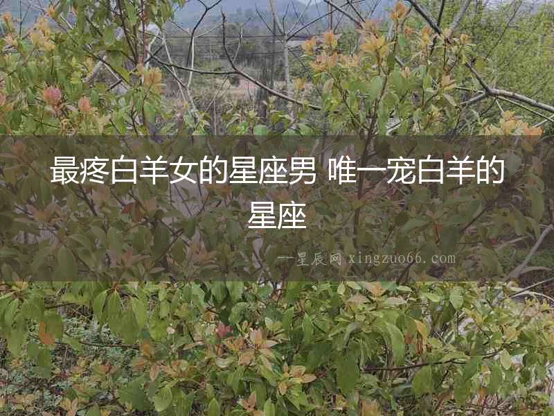 最疼白羊女的星座男 唯一寵白羊的星座