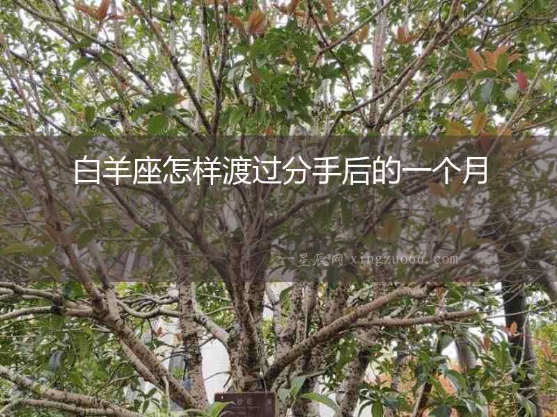白羊座怎樣渡過分手后的一個月