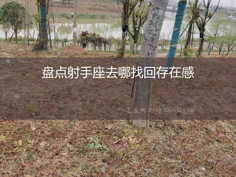 盤點射手座去哪找回存在感