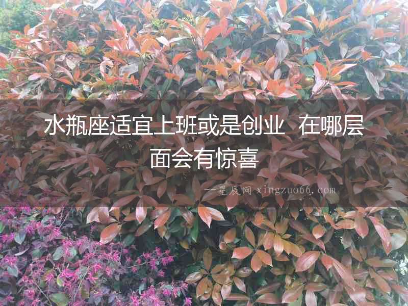 水瓶座適宜上班或是創業  在哪層面會有驚喜