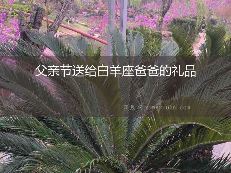 父親節送給白羊座爸爸的禮品