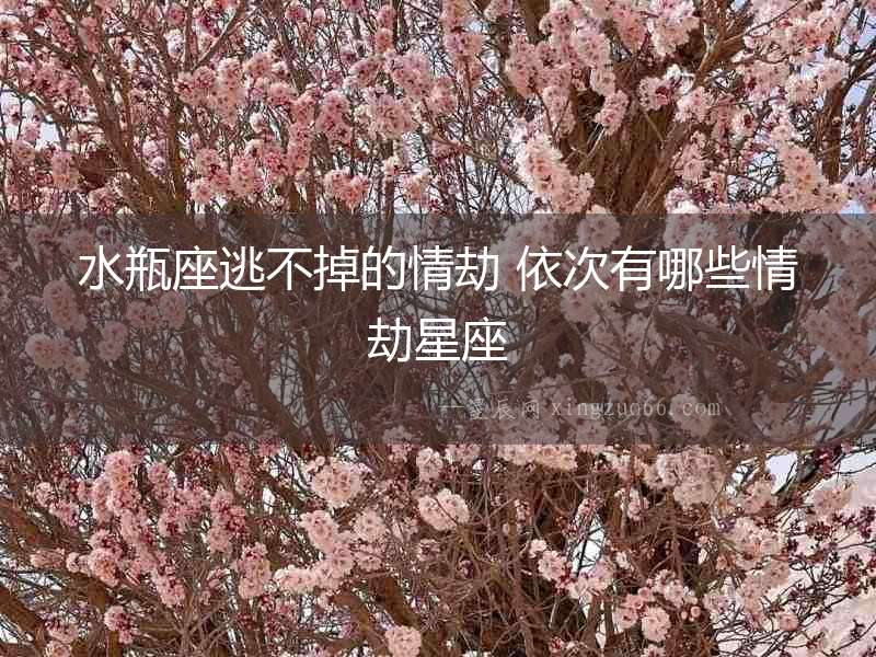 水瓶座逃不掉的情劫 依次有哪些情劫星座