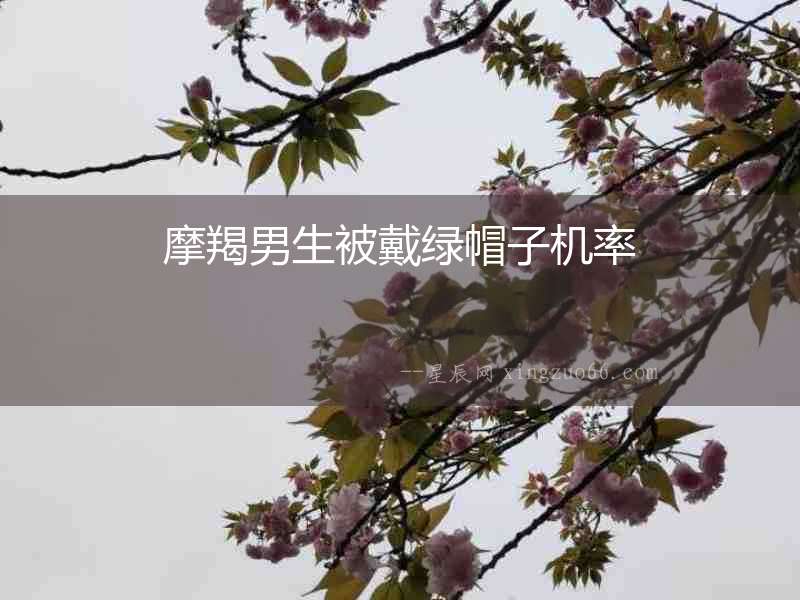 摩羯男生被戴綠帽子機率
