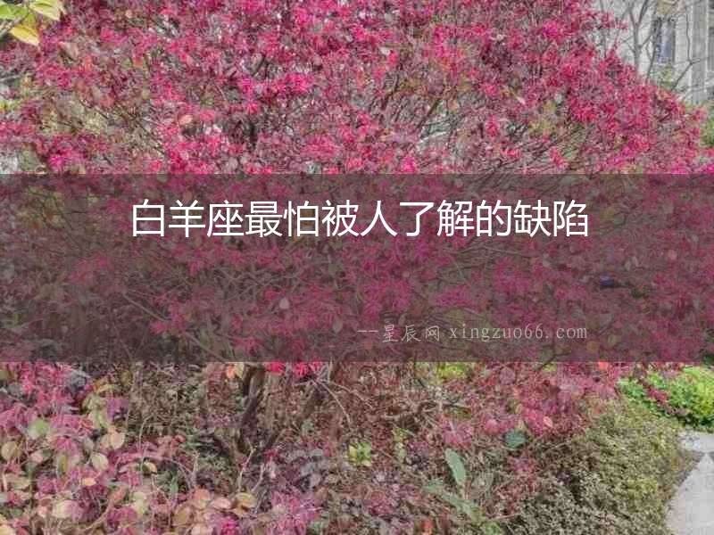 白羊座最怕被人了解的缺陷