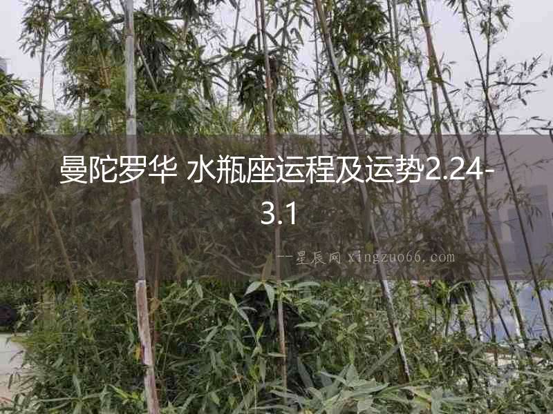 曼陀羅華 水瓶座運程及運勢2.24-3.1