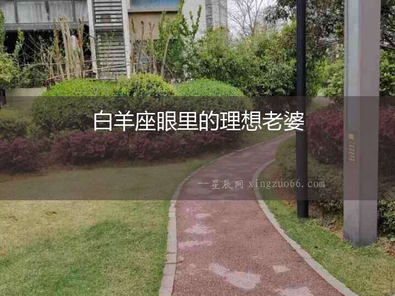 白羊座眼里的理想老婆
