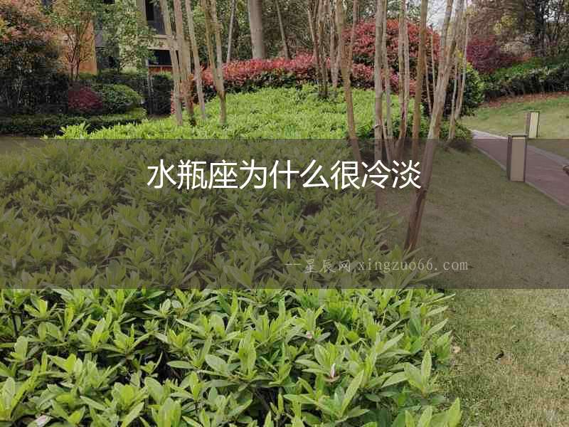 水瓶座為什么很冷淡