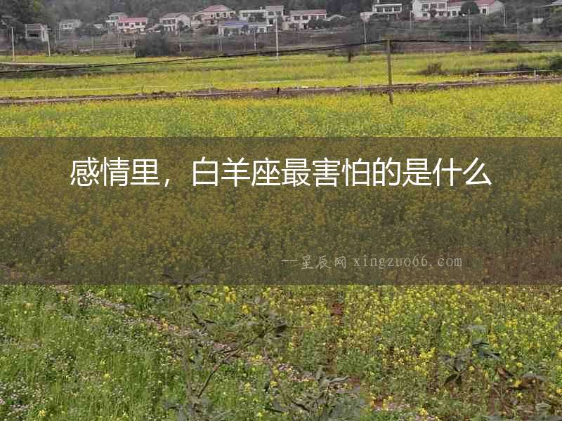感情里，白羊座最害怕的是什么
