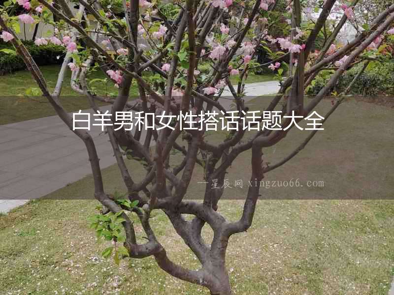 白羊男和女性搭話話題大全