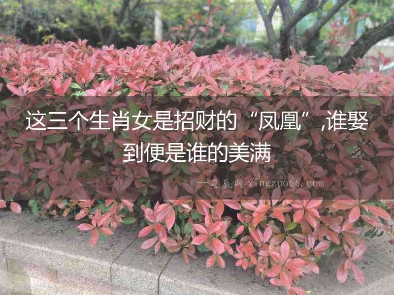 這三個生肖女是招財的“鳳凰”,誰娶到便是誰的美滿