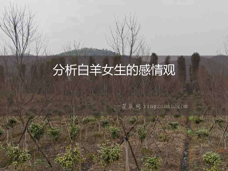 分析白羊女生的感情觀