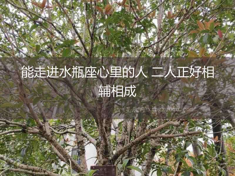 能走進水瓶座心里的人 二人正好相輔相成