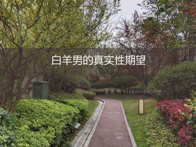 白羊男的真實(shí)性期望