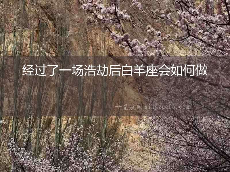 經(jīng)過了一場浩劫后白羊座會如何做