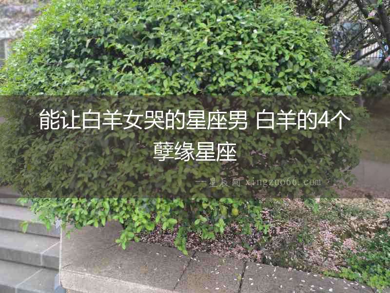 能讓白羊女哭的星座男 白羊的4個孽緣星座