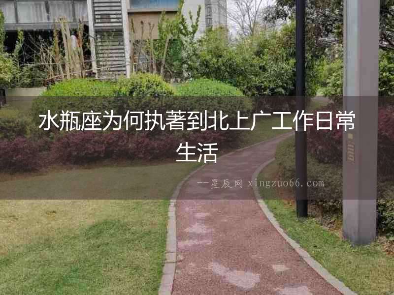 水瓶座為何執著到北上廣工作日常生活