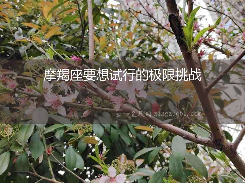 摩羯座要想試行的極限挑戰