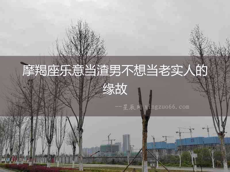 摩羯座樂意當渣男不想當老實人的緣故