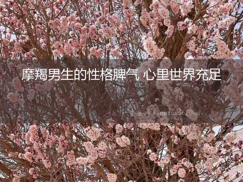 摩羯男生的性格脾氣 心里世界充足  　　