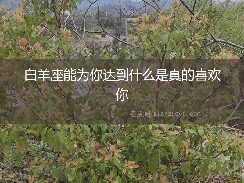 白羊座能為你達(dá)到什么是真的喜歡你