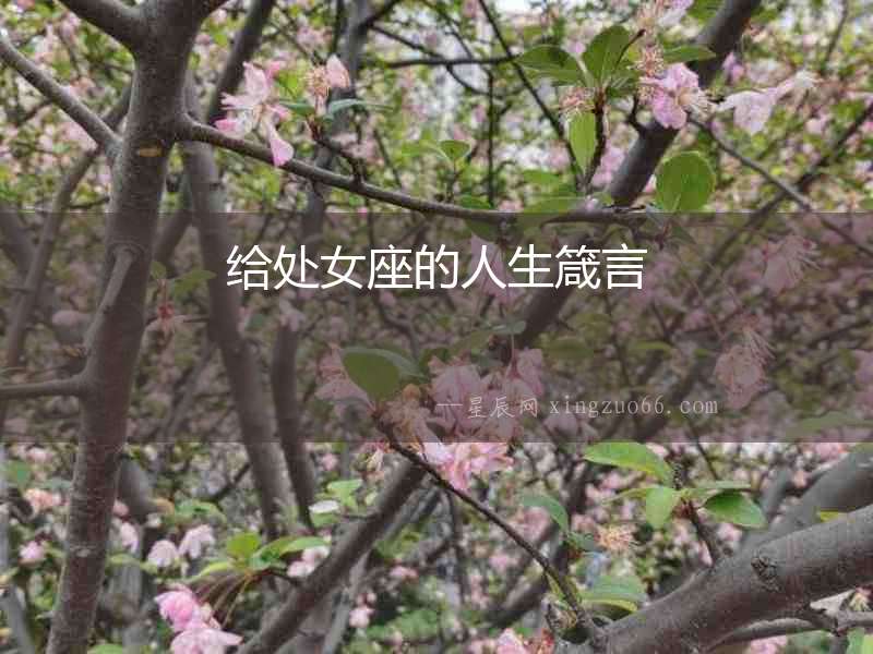給處女座的人生箴言