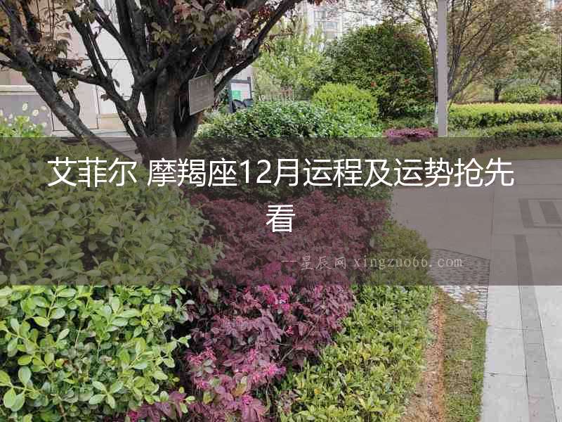 艾菲爾 摩羯座12月運(yùn)程及運(yùn)勢(shì)搶先看