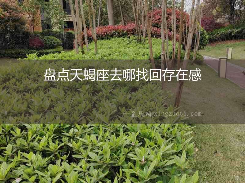 盤點天蝎座去哪找回存在感