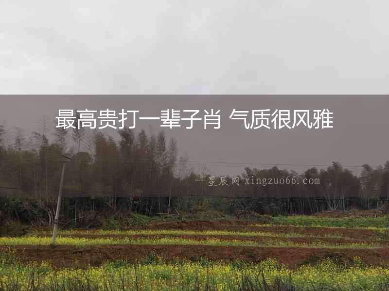 最高貴打一輩子肖 氣質很風雅