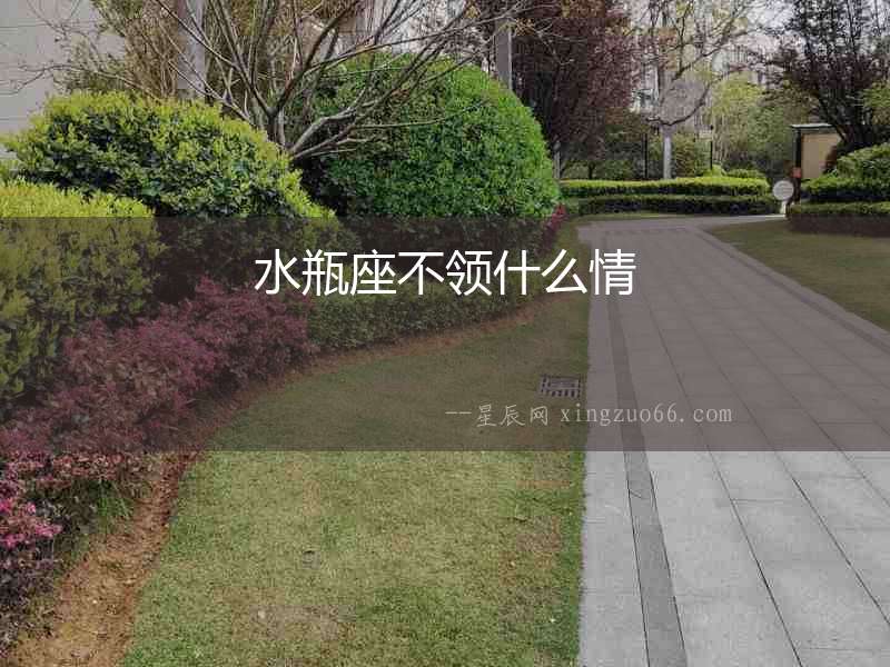 水瓶座不領什么情
