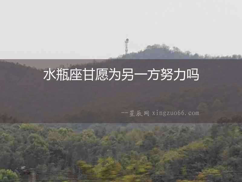 水瓶座甘愿為另一方努力嗎