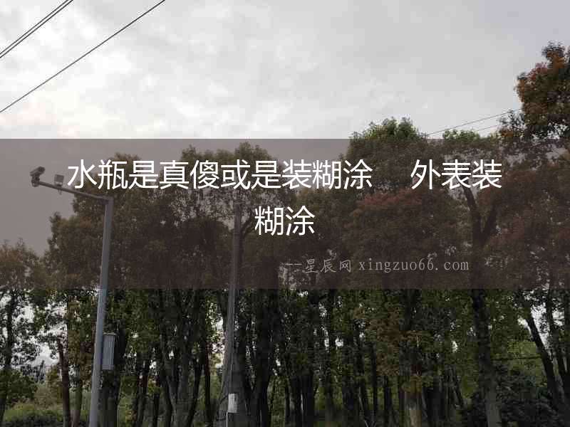 水瓶是真傻或是裝糊涂    外表裝糊涂