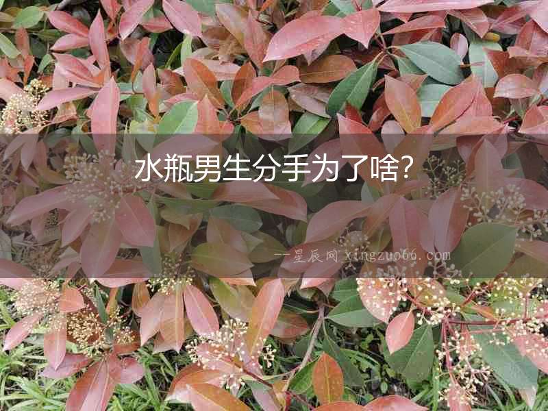 水瓶男生分手為了啥？