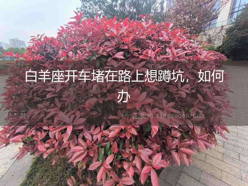 白羊座開車堵在路上想蹲坑，如何辦