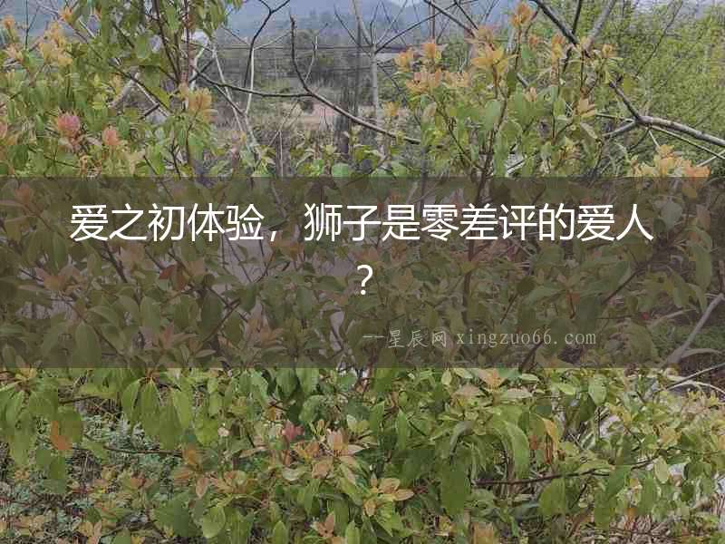 愛之初體驗，獅子是零差評的愛人？