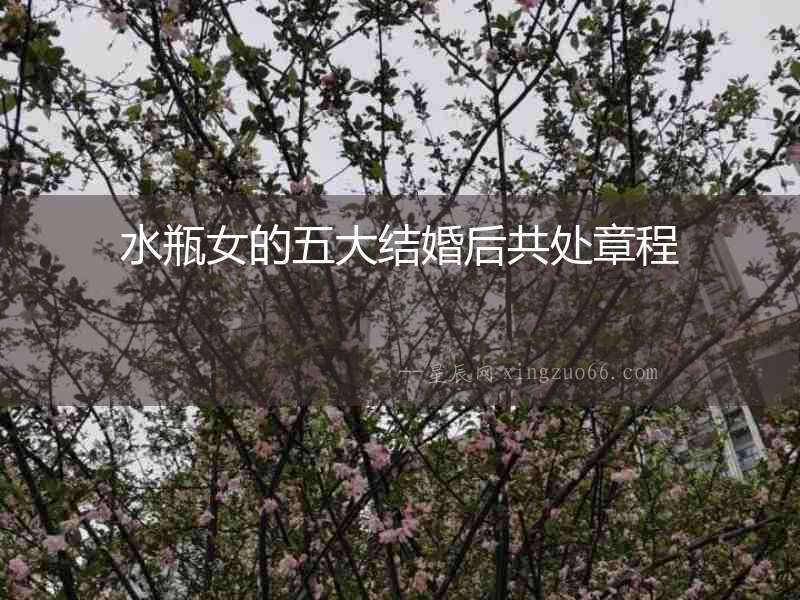 水瓶女的五大結婚后共處章程