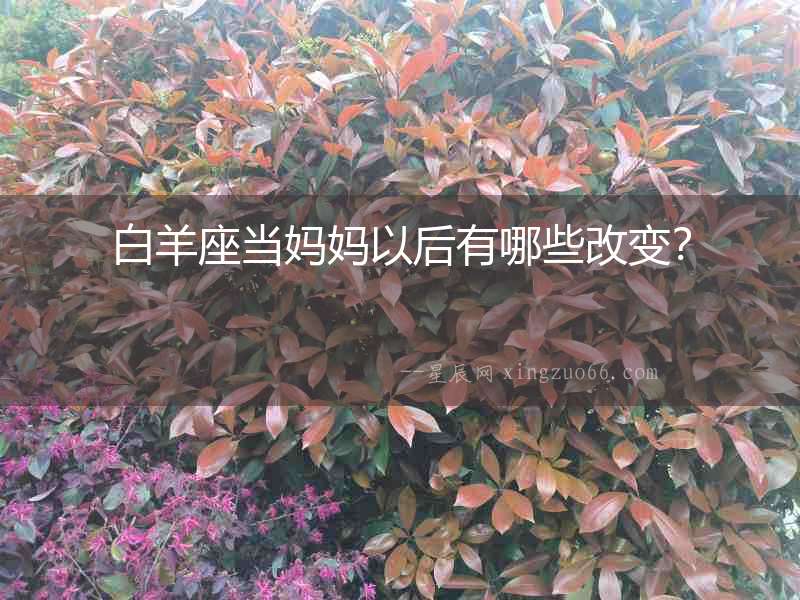 白羊座當媽媽以后有哪些改變？