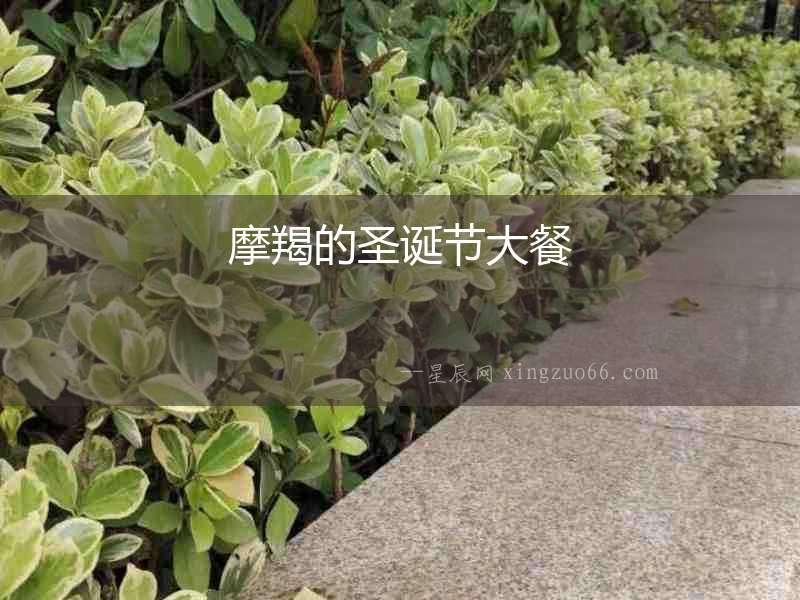 摩羯的圣誕節(jié)大餐