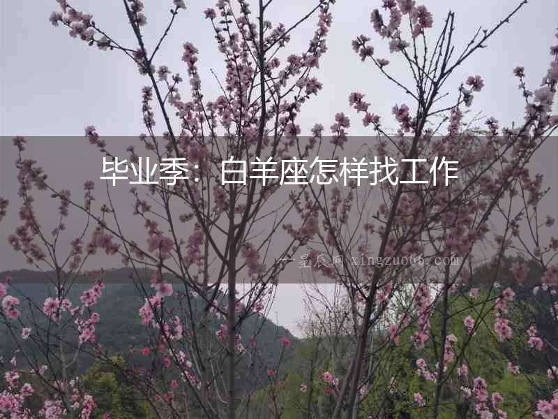 畢業季：白羊座怎樣找工作