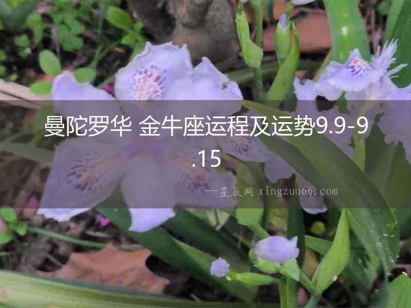 曼陀羅華 金牛座運(yùn)程及運(yùn)勢9.9-9.15