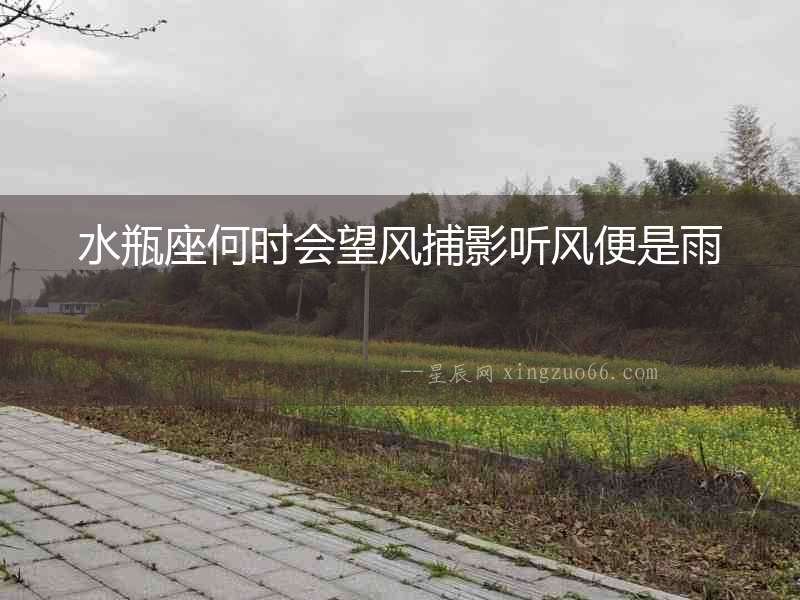 水瓶座何時會望風捕影聽風便是雨