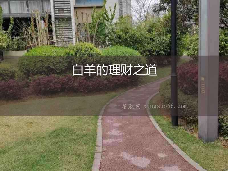白羊的理財之道