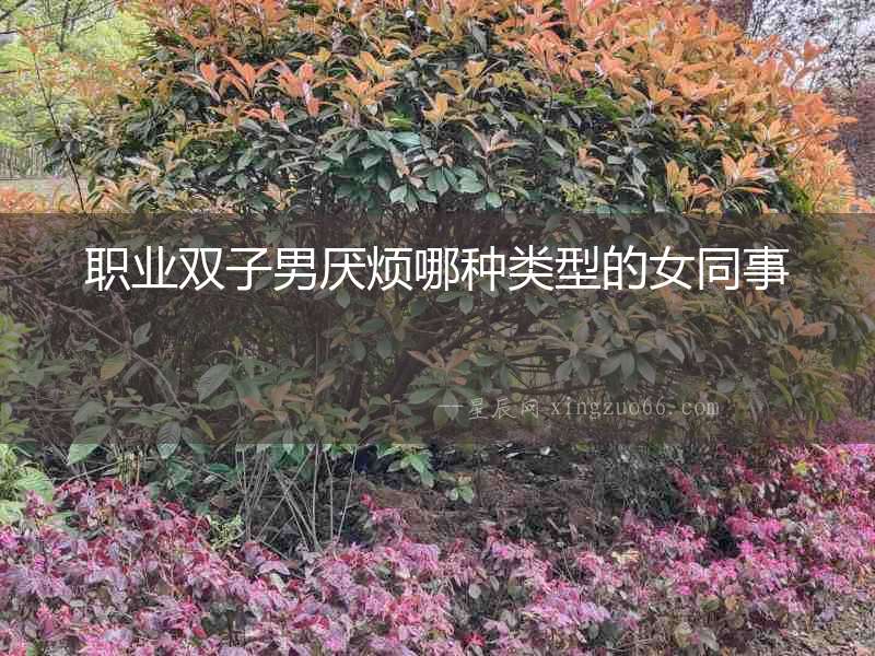 職業雙子男厭煩哪種類型的女同事