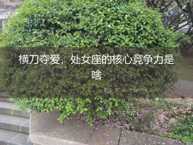 橫刀奪愛，處女座的核心競爭力是啥