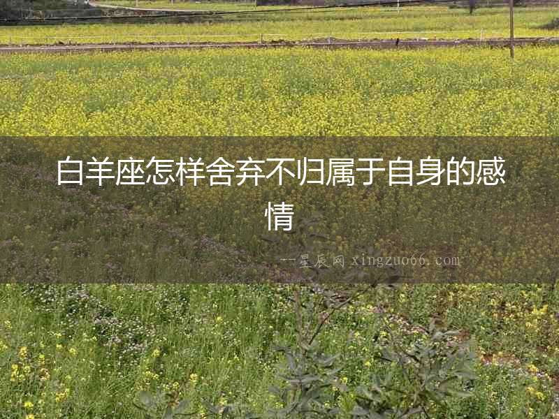 白羊座怎樣舍棄不歸屬于自身的感情
